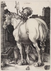  af Albrecht Dürer