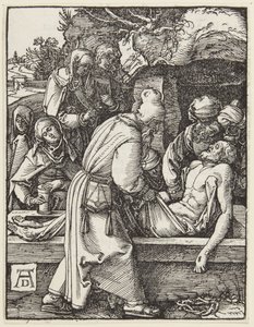  af Albrecht Dürer