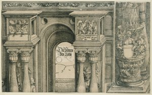  af Albrecht Dürer