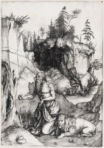  af Albrecht Dürer
