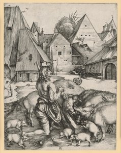  af Albrecht Dürer