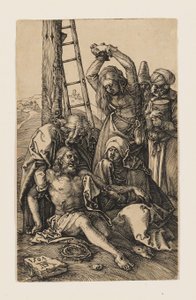  af Albrecht Dürer