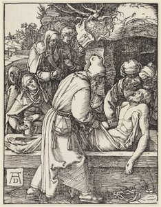  af Albrecht Dürer