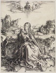  af Albrecht Dürer