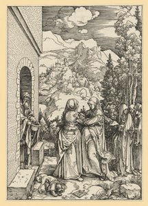  af Albrecht Dürer
