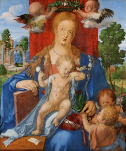 af Albrecht Dürer
