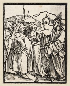  af Albrecht Dürer