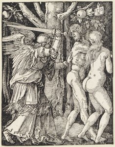  af Albrecht Dürer