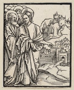  af Albrecht Dürer