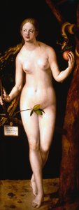 Eva, 1507 af Albrecht Dürer