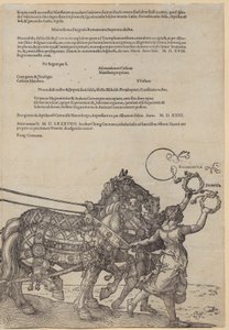  af Albrecht Dürer