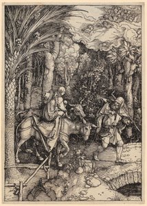 af Albrecht Dürer