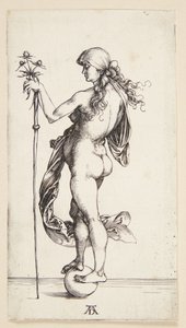 Formue af Albrecht Dürer