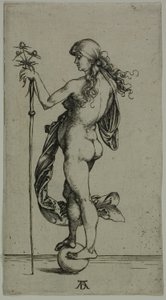 Formue af Albrecht Dürer
