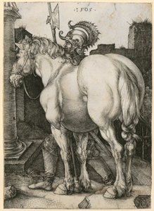 Den store hest af Albrecht Dürer