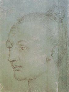 Head of a Young Woman (sort kridt forhøjet med hvidt kridt på grønt papir) af Albrecht Dürer