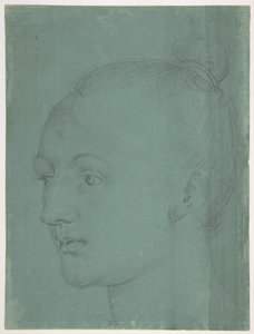  af Albrecht Dürer
