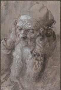 Leder af en gammel mand, 1521 af Albrecht Dürer