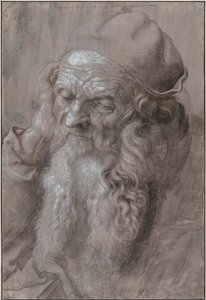 Hoved af en gammel mand, 1521 af Albrecht Dürer