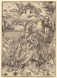 af Albrecht Dürer