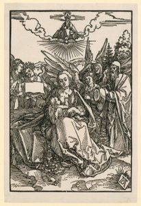  af Albrecht Dürer