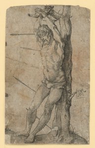  af Albrecht Dürer
