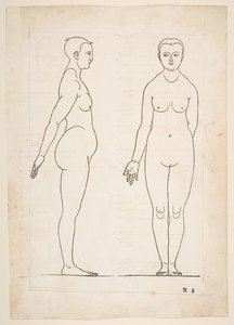 IIllustration fra Dürers Fire Books of Human Proportion, Nürnberg, 1528.n.d. af Albrecht Dürer