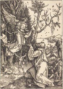  af Albrecht Dürer