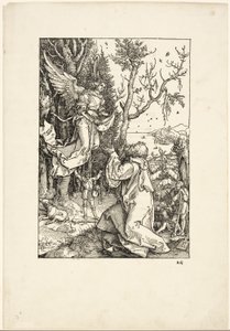 Joachim og englen, fra Jomfruens liv af Albrecht Dürer