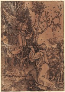  af Albrecht Dürer