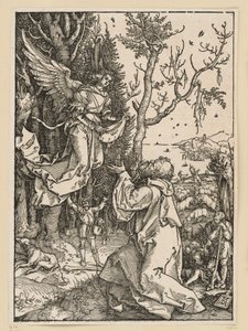  af Albrecht Dürer