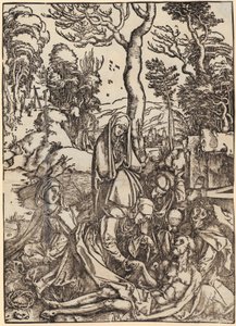  af Albrecht Dürer