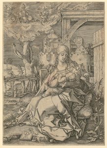  af Albrecht Dürer