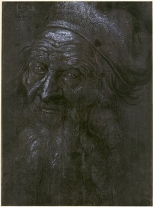  af Albrecht Dürer