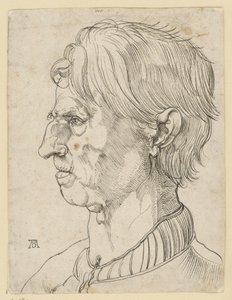 Hoved af en ældre skægløs mand, i profil mod venstre af Albrecht Dürer