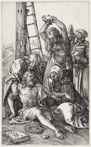  af Albrecht Dürer