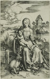 Madonna med aben af Albrecht Dürer