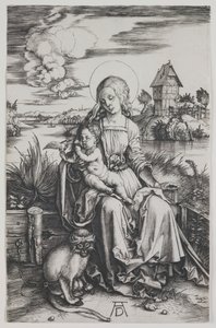  af Albrecht Dürer