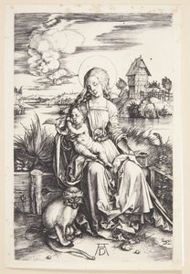 Madonna med aben af Albrecht Dürer