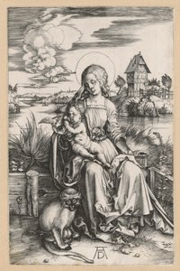 Maria med barnet og havaben af Albrecht Dürer
