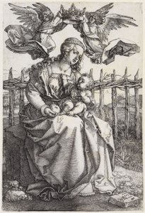  af Albrecht Dürer