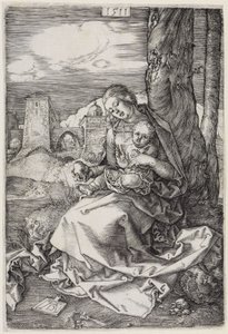  af Albrecht Dürer