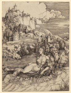  af Albrecht Dürer