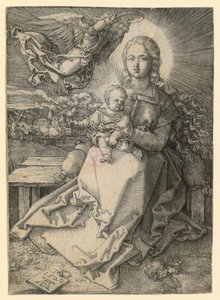  af Albrecht Dürer