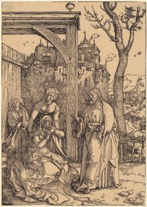  af Albrecht Dürer