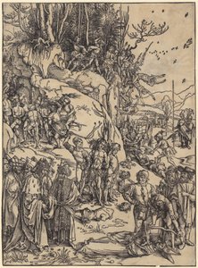  af Albrecht Dürer