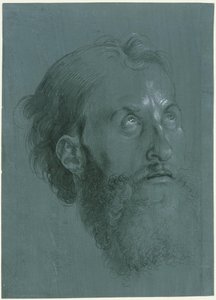  af Albrecht Dürer