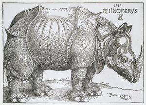 Neushoorn Rhinocerus (titel på objekt) af Albrecht Dürer