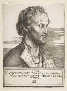  af Albrecht Dürer