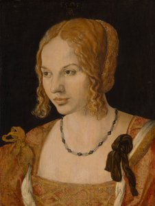 Portræt af en ung venetiansk kvinde, 1505 af Albrecht Dürer